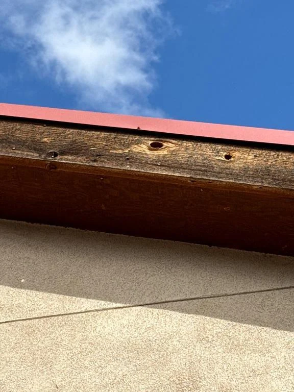 Close-up of split wood fascia board with holes