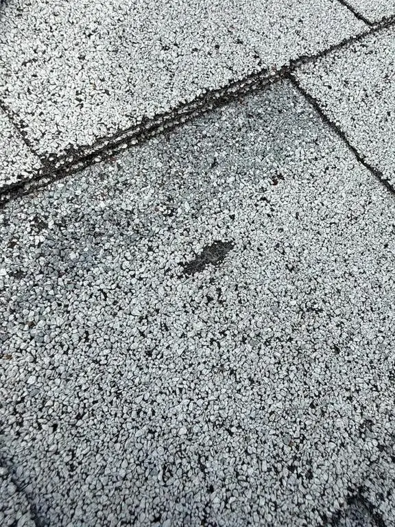 Hail hit on a light gray asphalt shingle, with a dark spot where the granules were knocked loose