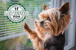 Lab Tested Mom Approved badge for pet and child window safety