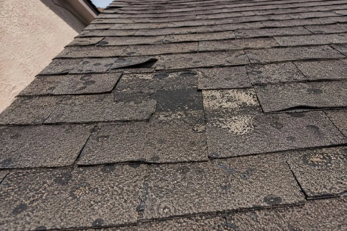 Roof with hail damage showing granule loss, impact marks, and lifted shingles before replacement