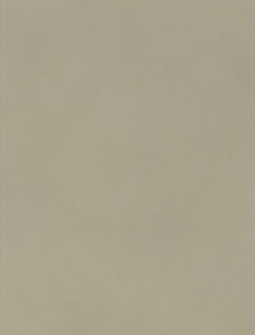Ash Gray metal roof color swatch