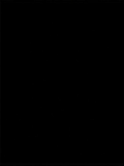Black metal roof color swatch