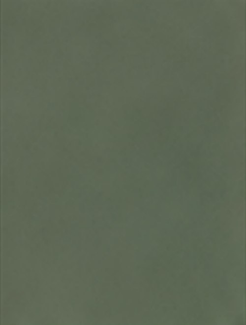 Colony Green metal roof color swatch