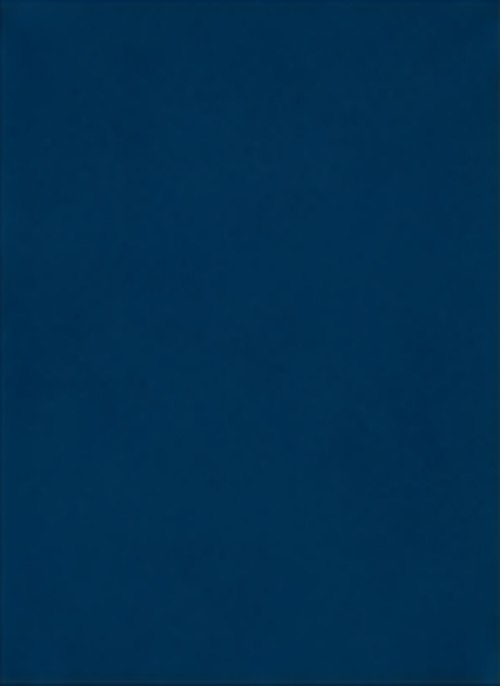 Gallery Blue metal roof color swatch