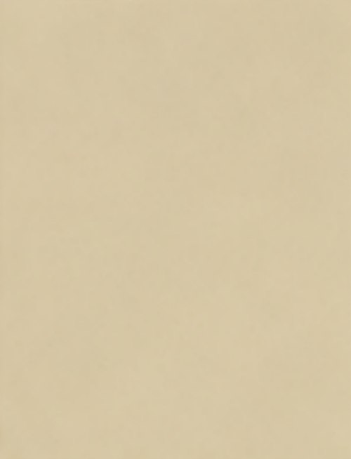 Light Stone metal roof color swatch