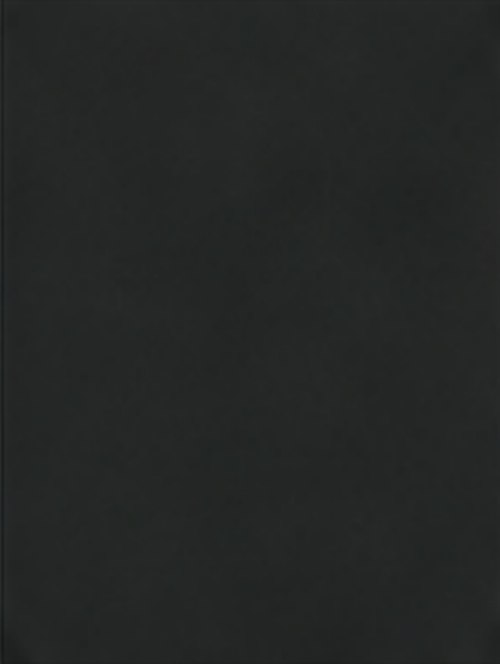 Matte Black metal roof color swatch